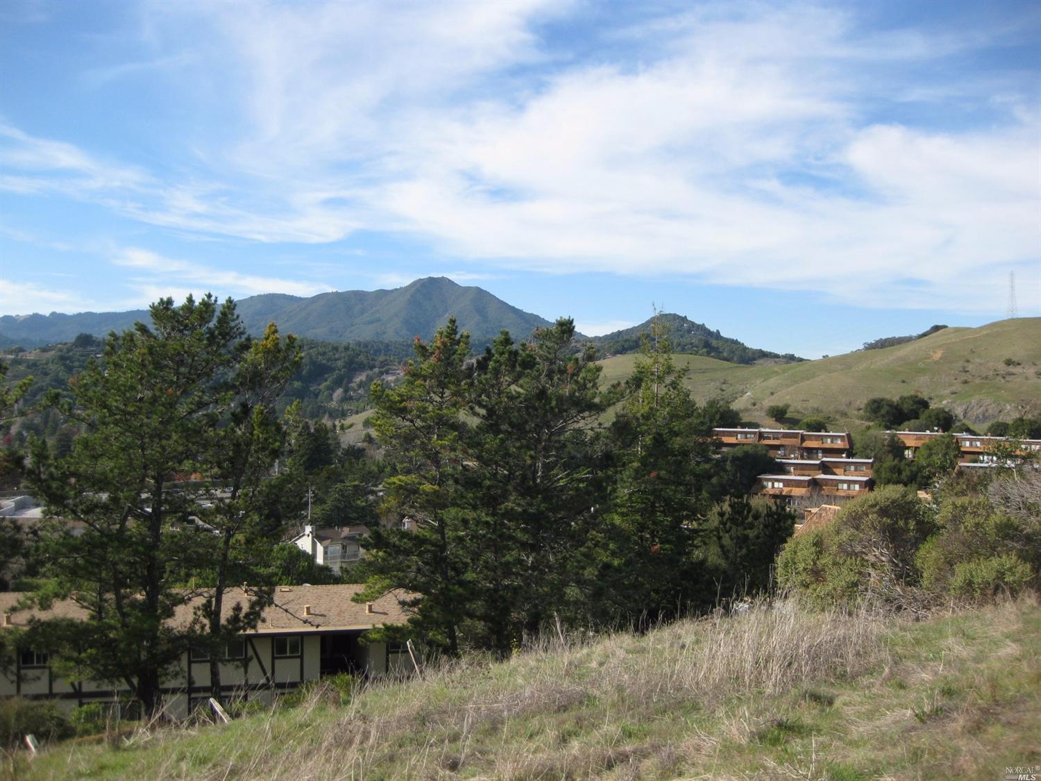 70 N Knoll Rd, Mill Valley, CA 94941 photo 7