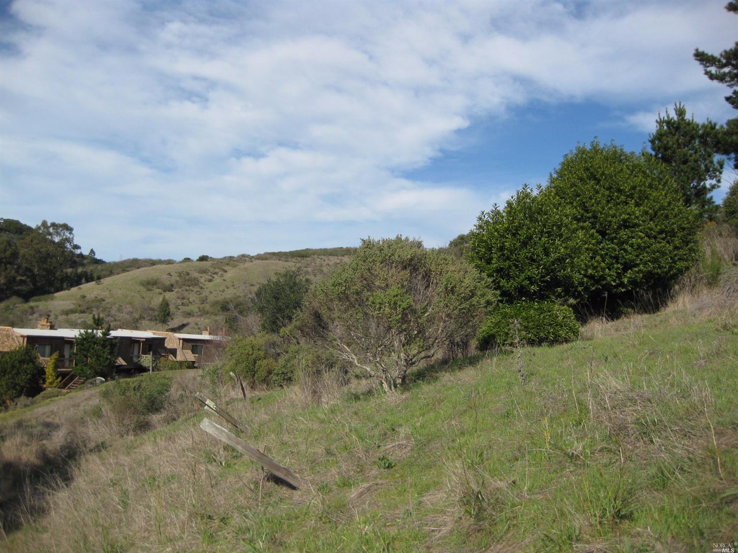 70 N Knoll Rd, Mill Valley, CA 94941 photo 4