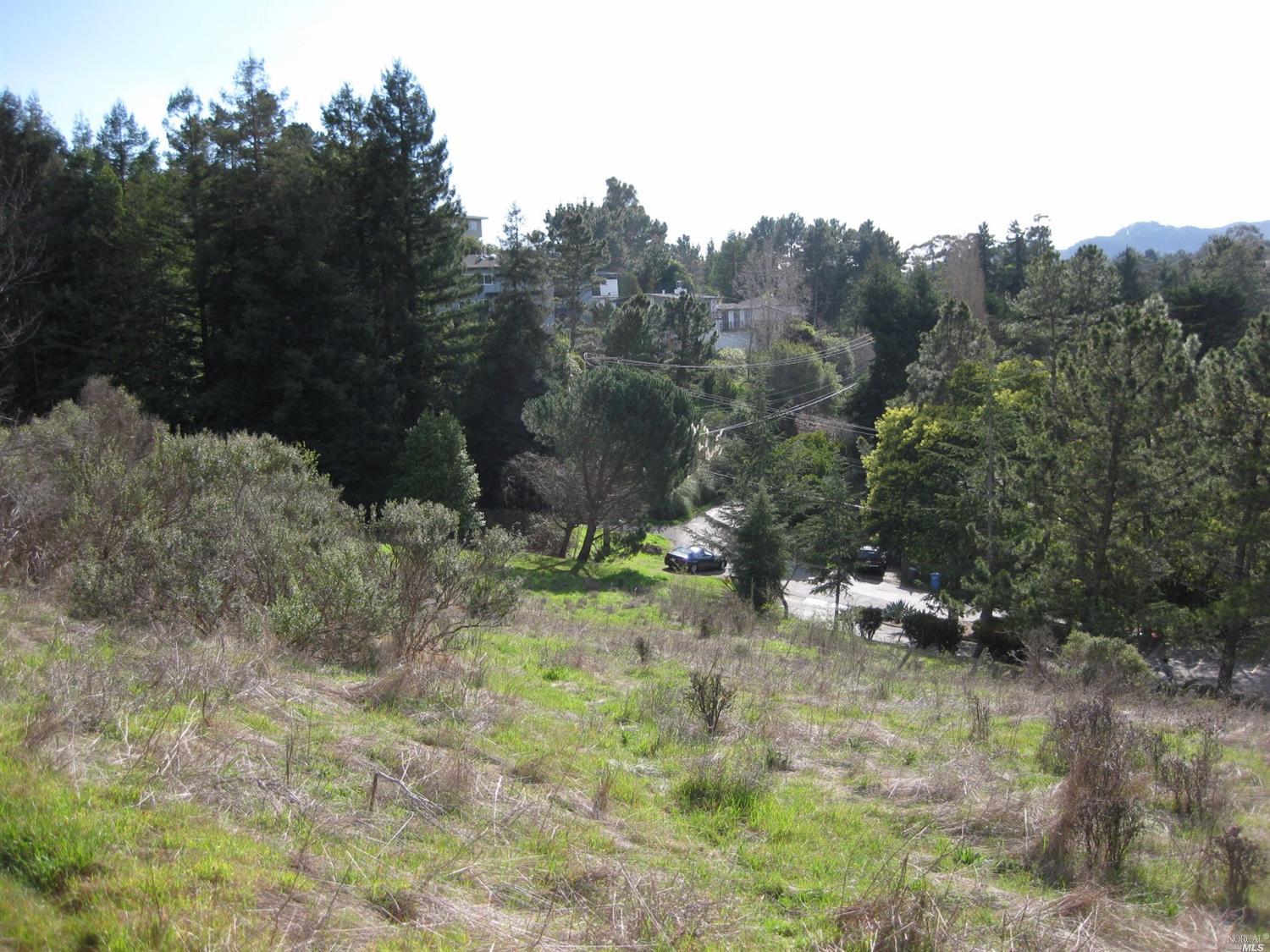 70 N Knoll Rd, Mill Valley, CA 94941 photo 9