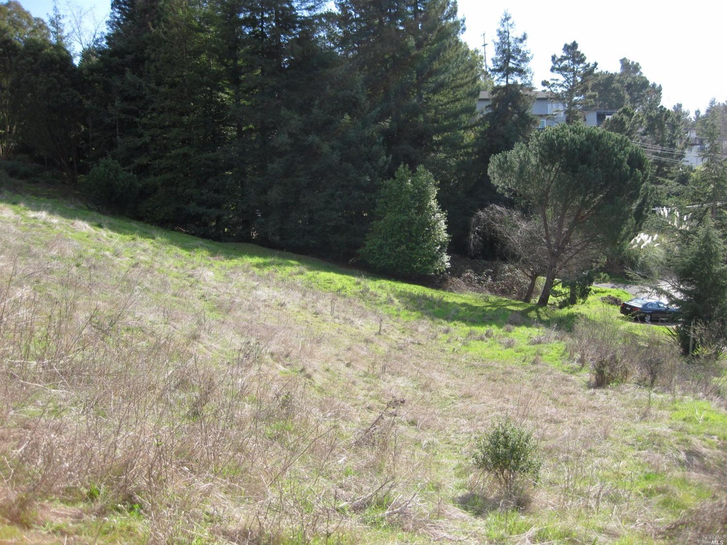 70 N Knoll Rd, Mill Valley, CA 94941 photo 2