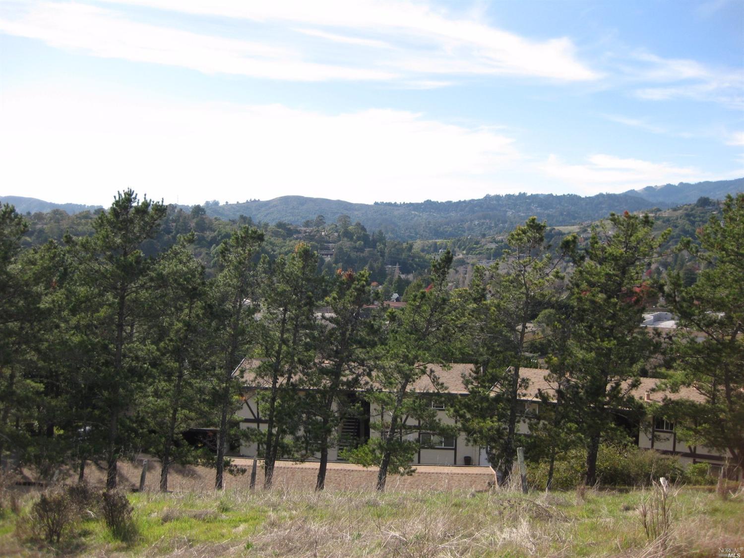 70 N Knoll Rd, Mill Valley, CA 94941 photo 8