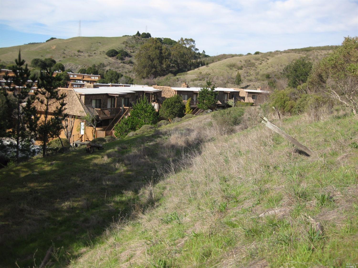 70 N Knoll Rd, Mill Valley, CA 94941 photo 6