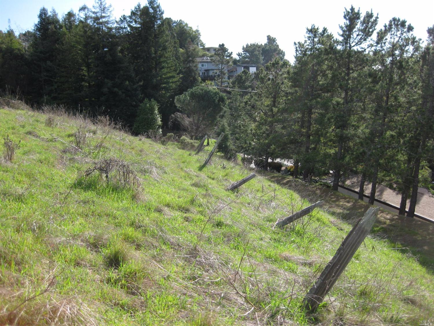 70 N Knoll Rd, Mill Valley, CA 94941 photo 3