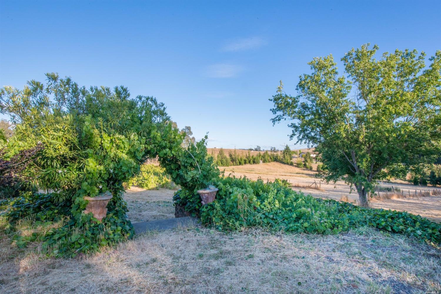 3660 Roblar Rd, Petaluma, CA 94952 photo 2
