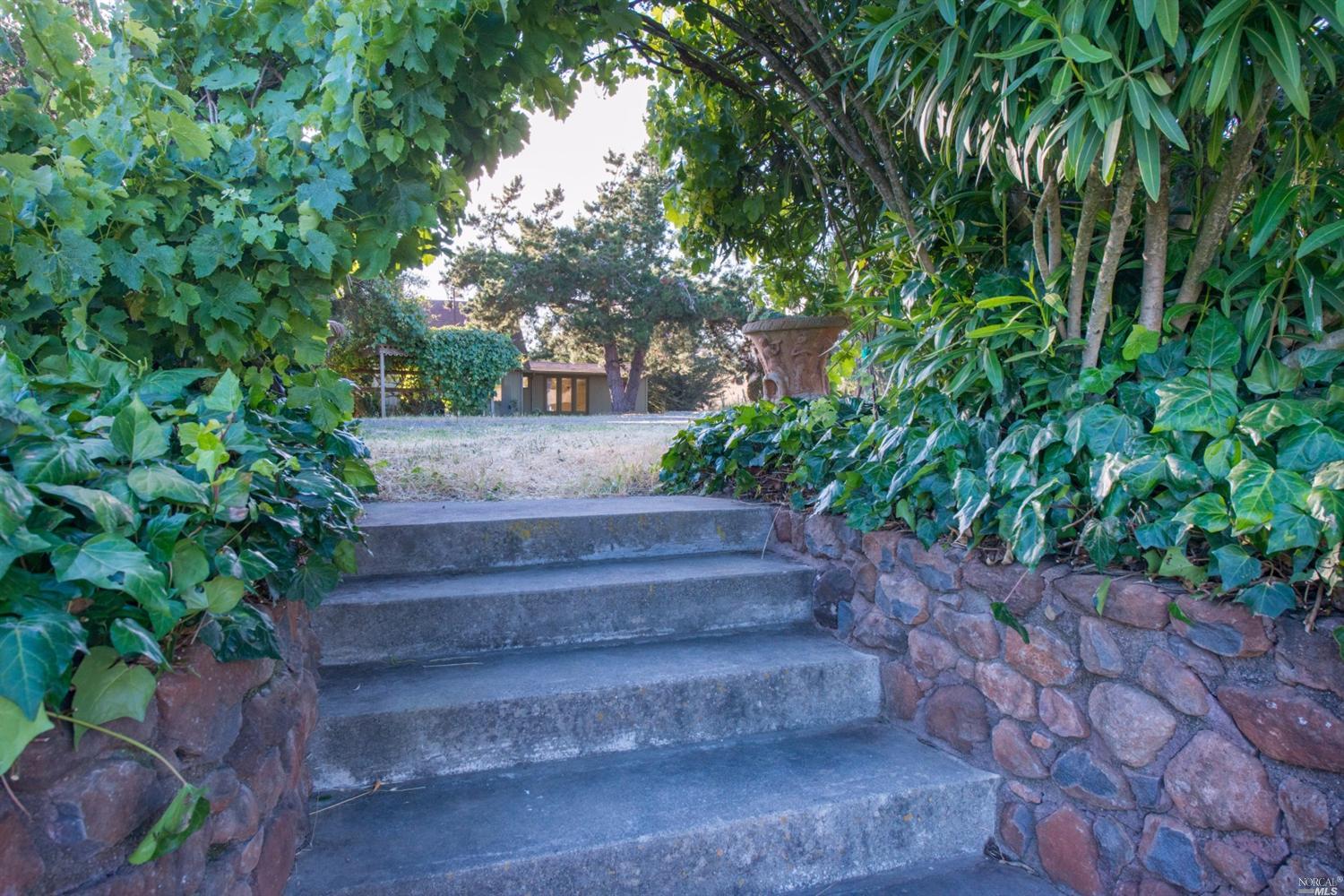 3660 Roblar Rd, Petaluma, CA 94952 photo 19