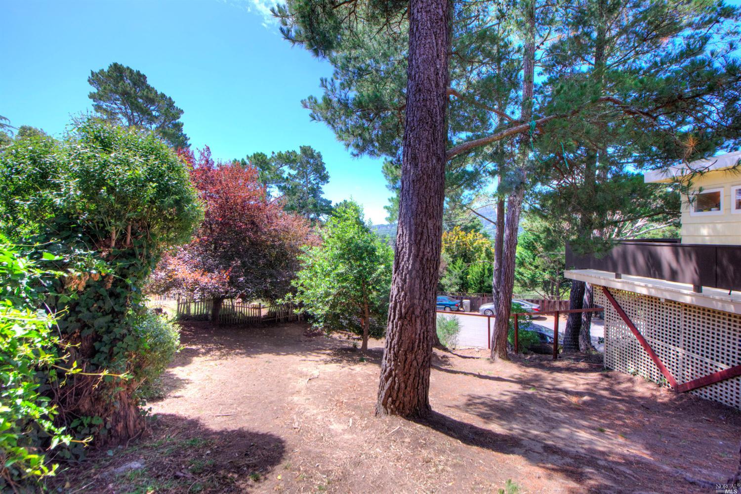 915 Centro Way, Mill Valley, CA 94941 photo 16