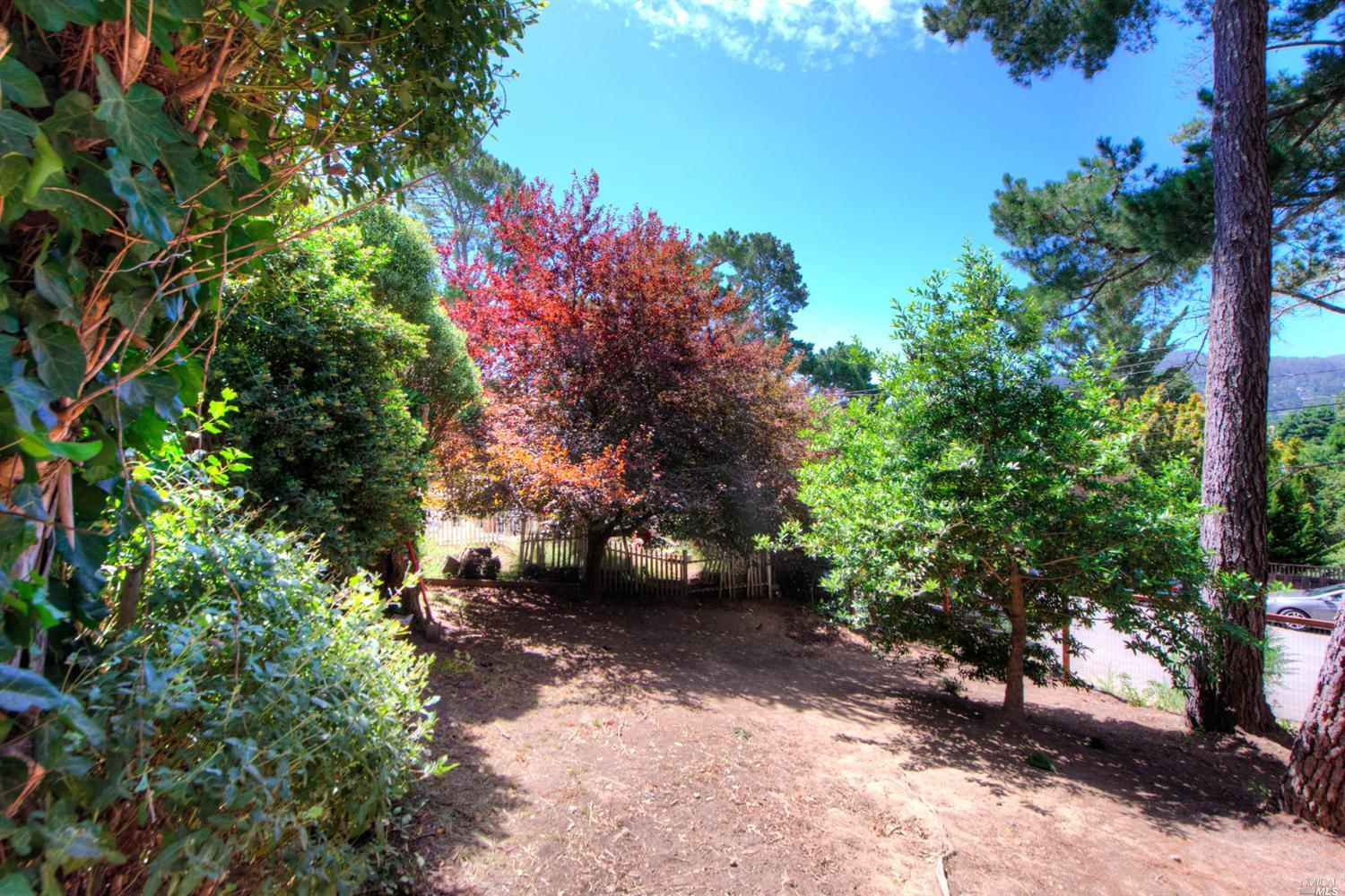 915 Centro Way, Mill Valley, CA 94941 photo 17