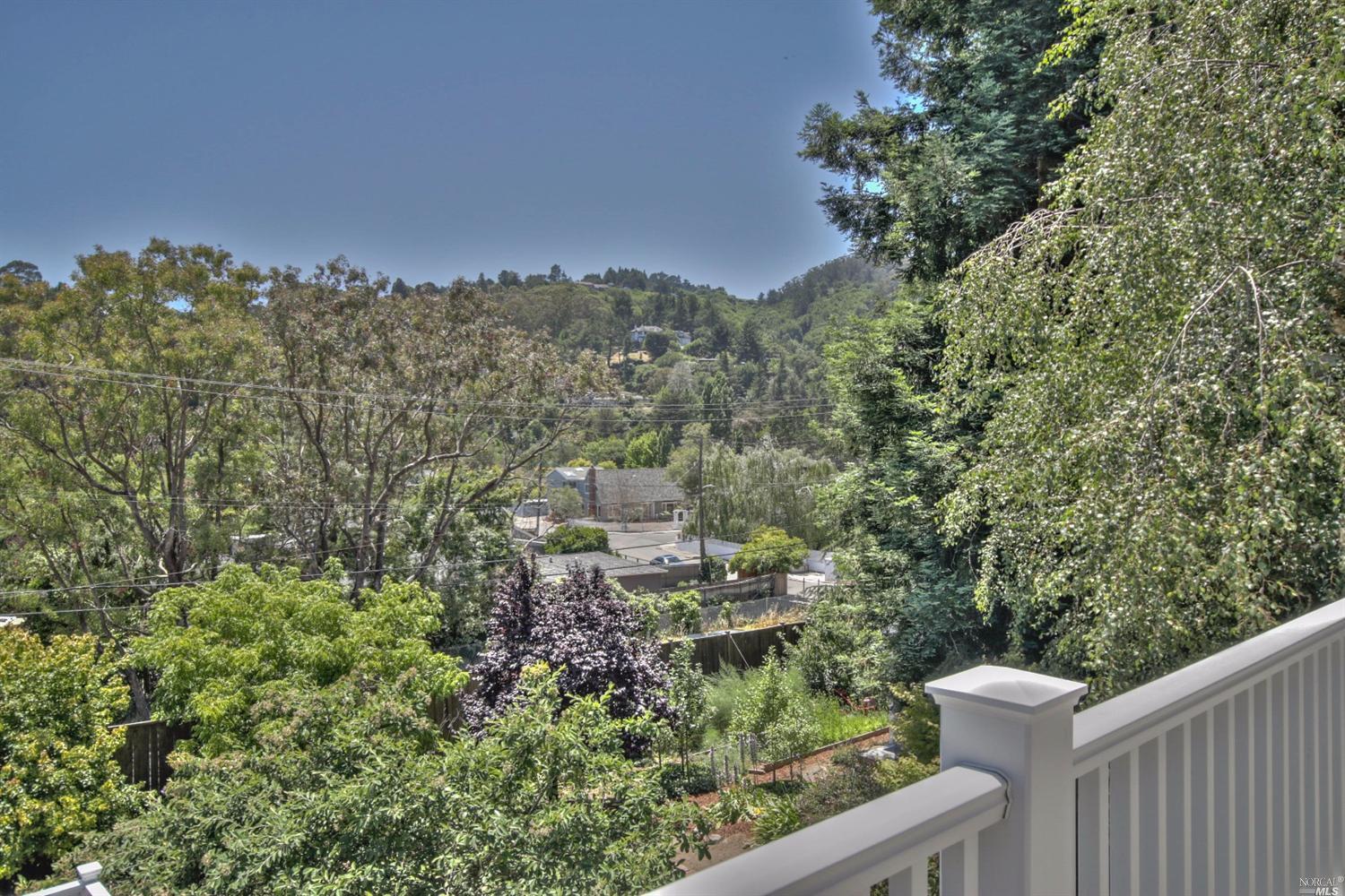 307 Dolan Ave, Mill Valley, CA 94941 photo 42