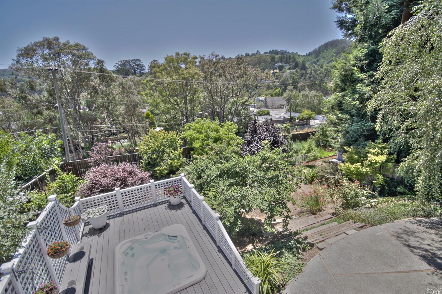 307 Dolan Ave, Mill Valley, CA 94941 photo 44