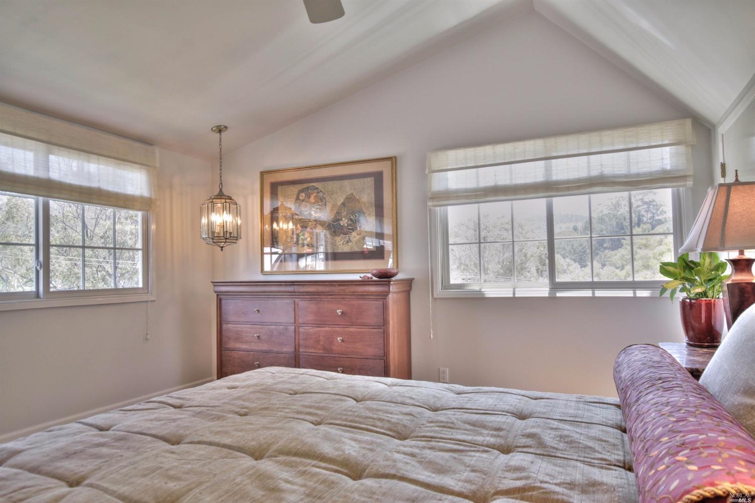 307 Dolan Ave, Mill Valley, CA 94941 photo 17