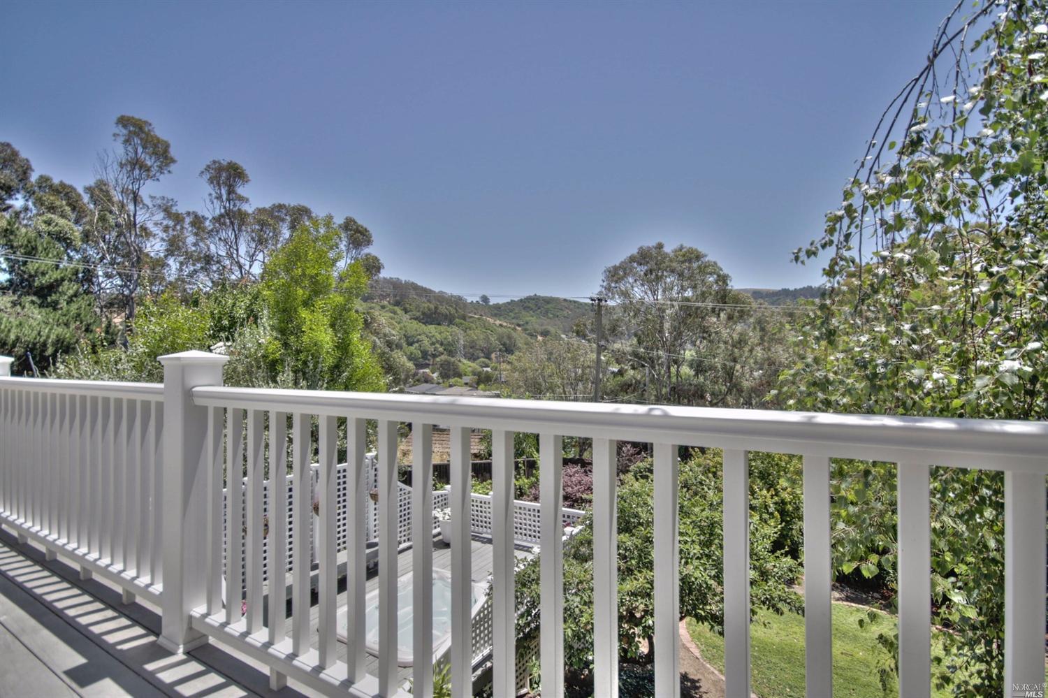 307 Dolan Ave, Mill Valley, CA 94941 photo 43