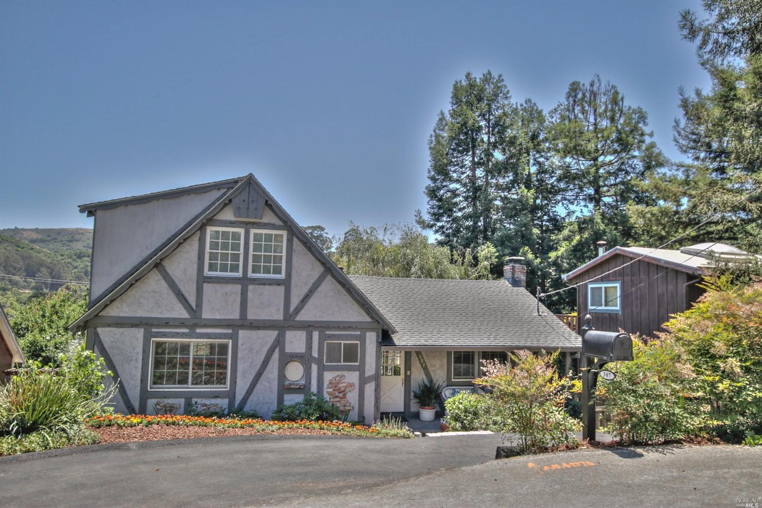 307 Dolan Ave, Mill Valley, CA 94941 photo 46