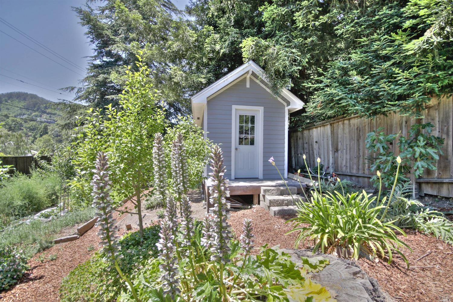 307 Dolan Ave, Mill Valley, CA 94941 photo 38