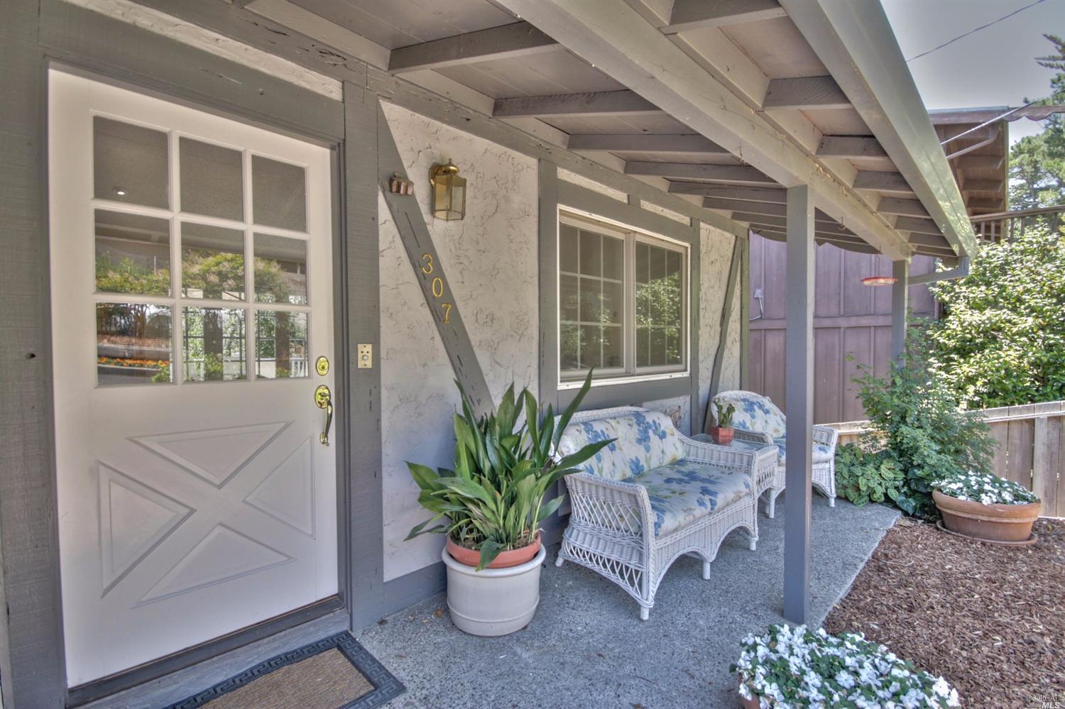 307 Dolan Ave, Mill Valley, CA 94941 photo 45