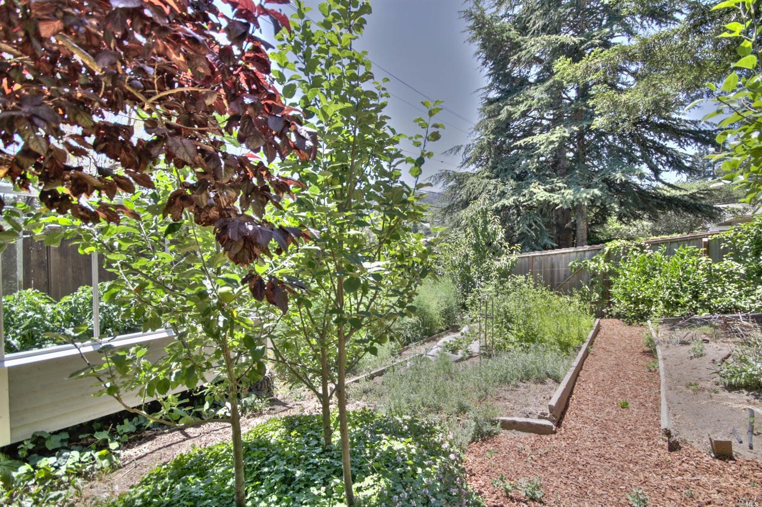 307 Dolan Ave, Mill Valley, CA 94941 photo 39
