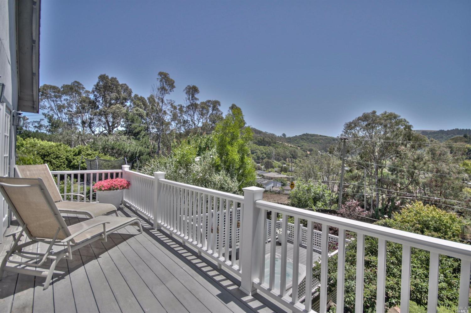 307 Dolan Ave, Mill Valley, CA 94941 photo 40