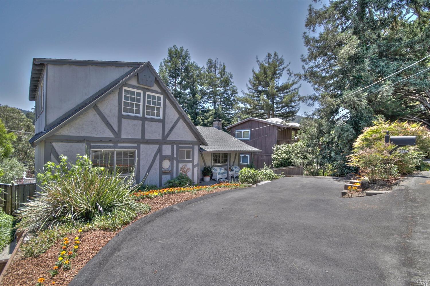 307 Dolan Ave, Mill Valley, CA 94941 photo 47