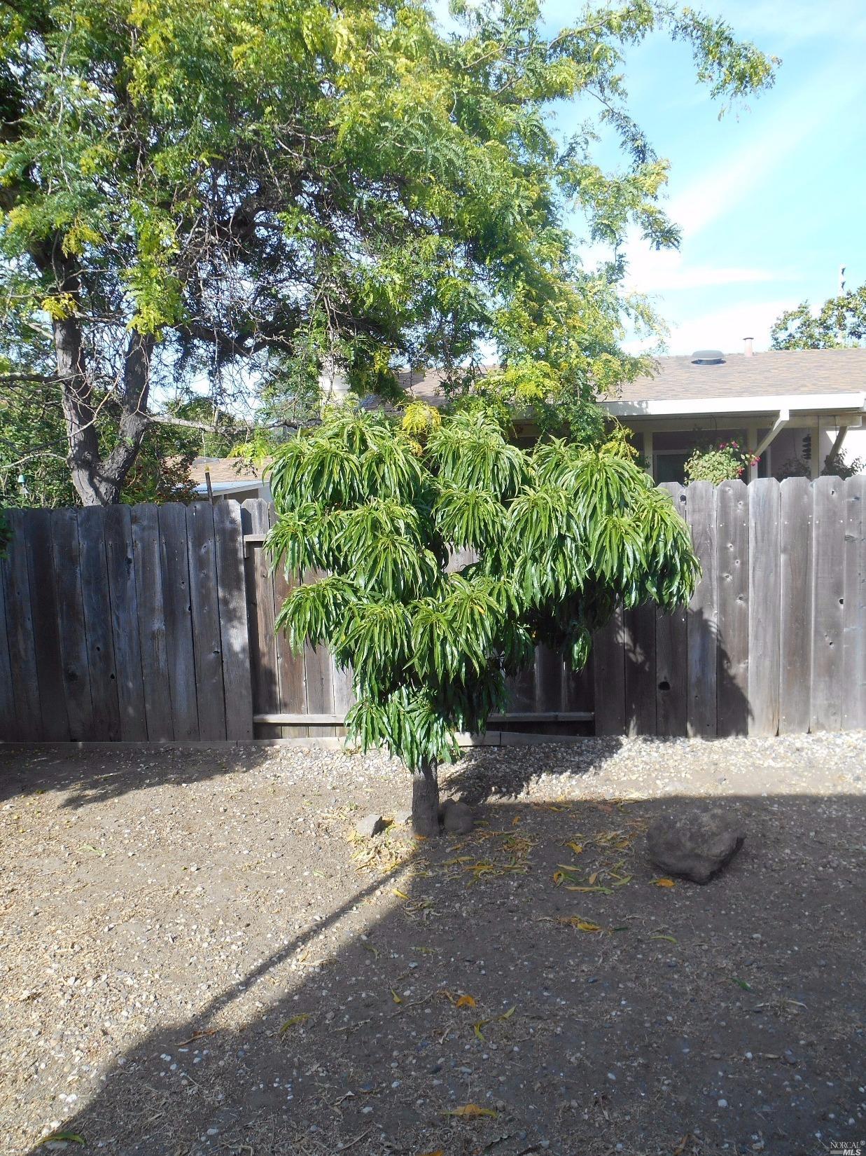 3326 Macbeth St, Napa, CA 94558 photo 17