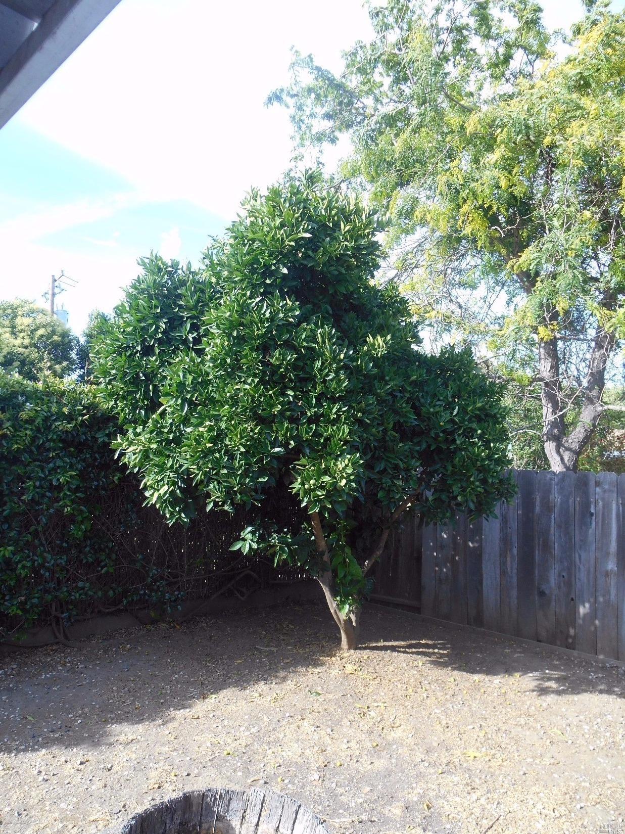 3326 Macbeth St, Napa, CA 94558 photo 16