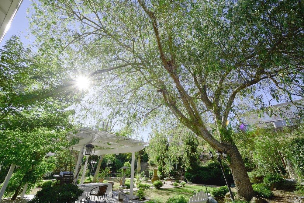 6600 Sawgrass Ln, Vallejo, CA 94591 photo 19