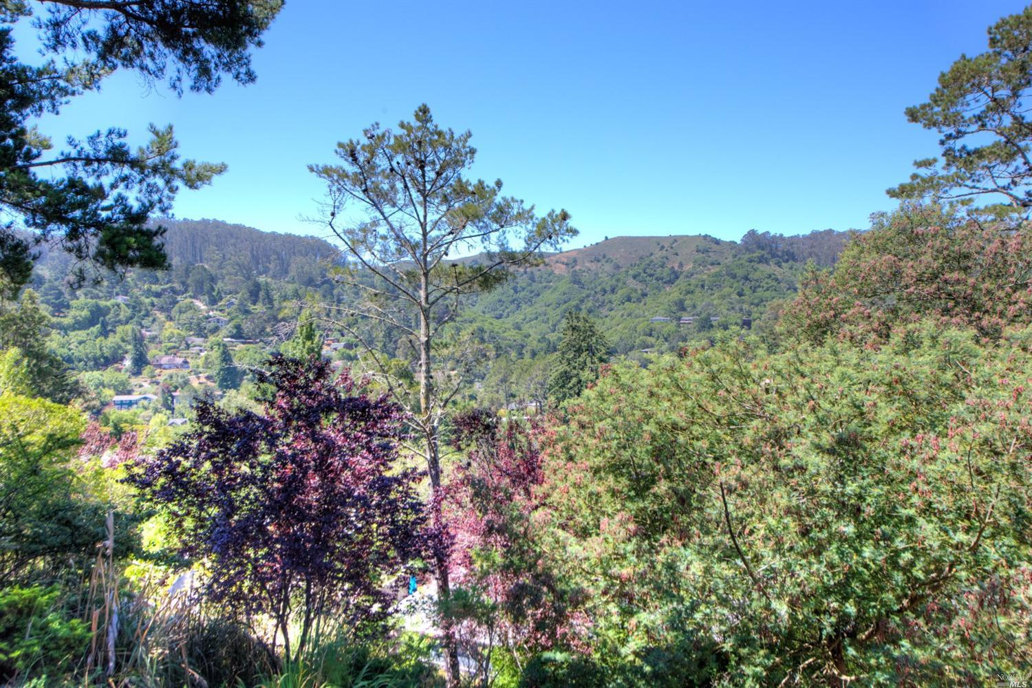 860 Chamberlain Ct, Mill Valley, CA 94941 photo 15