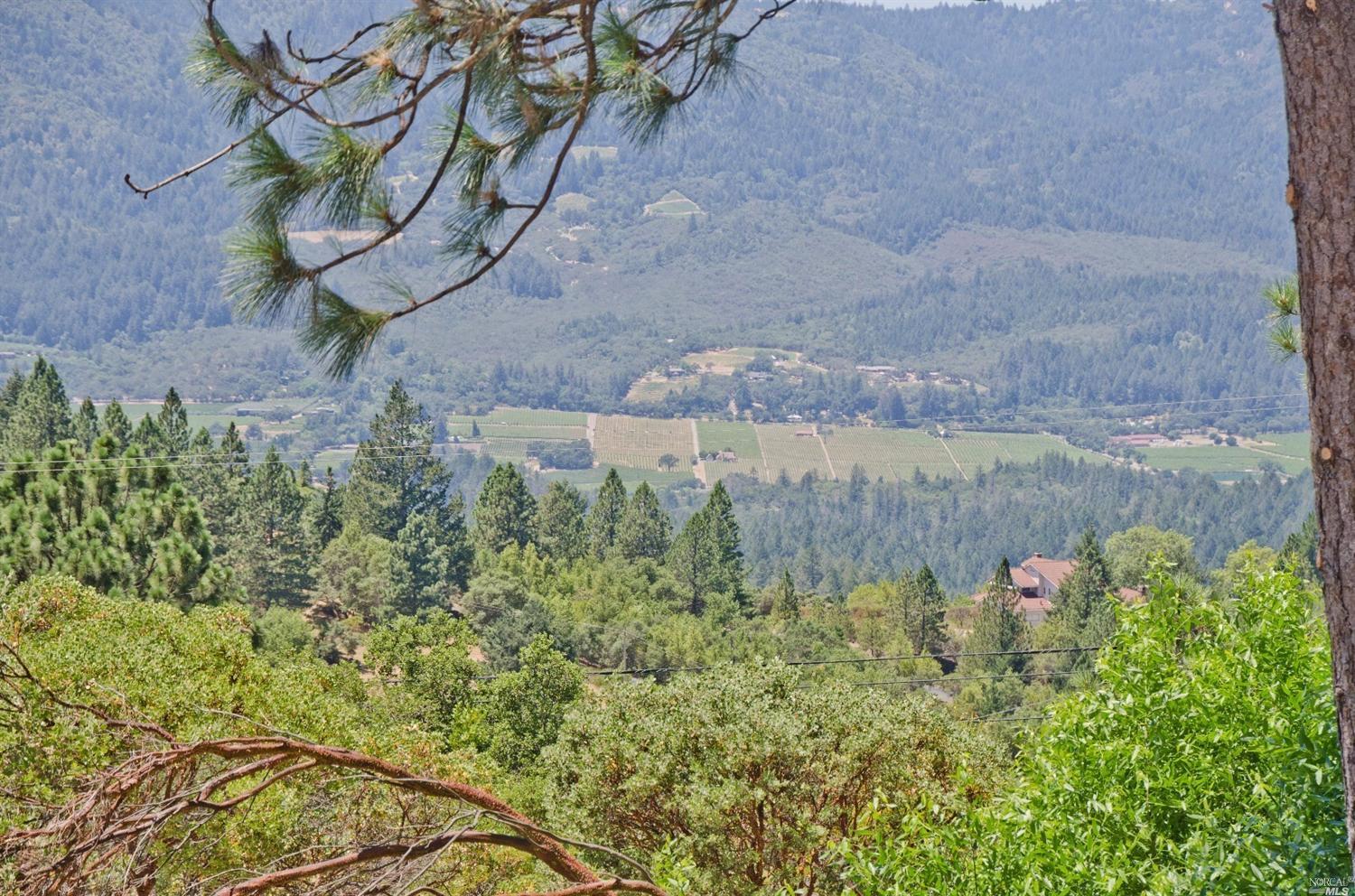 555 White Cottage Rd S, Angwin, CA 94508 photo 14
