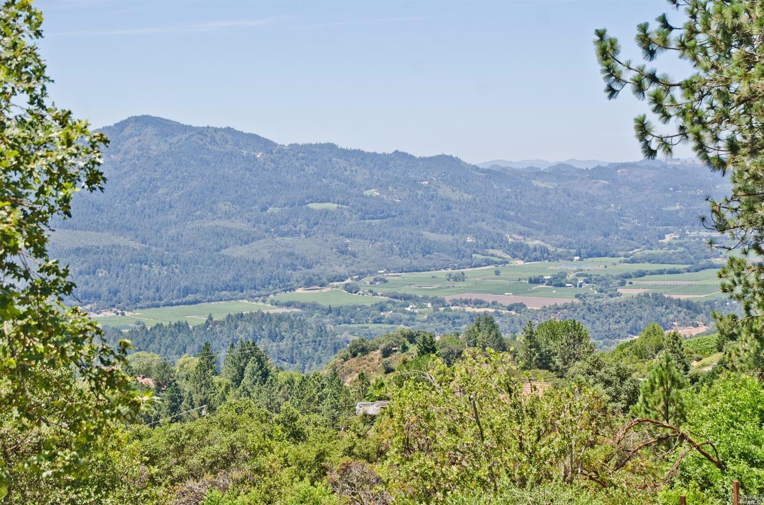 555 White Cottage Rd S, Angwin, CA 94508 photo 15