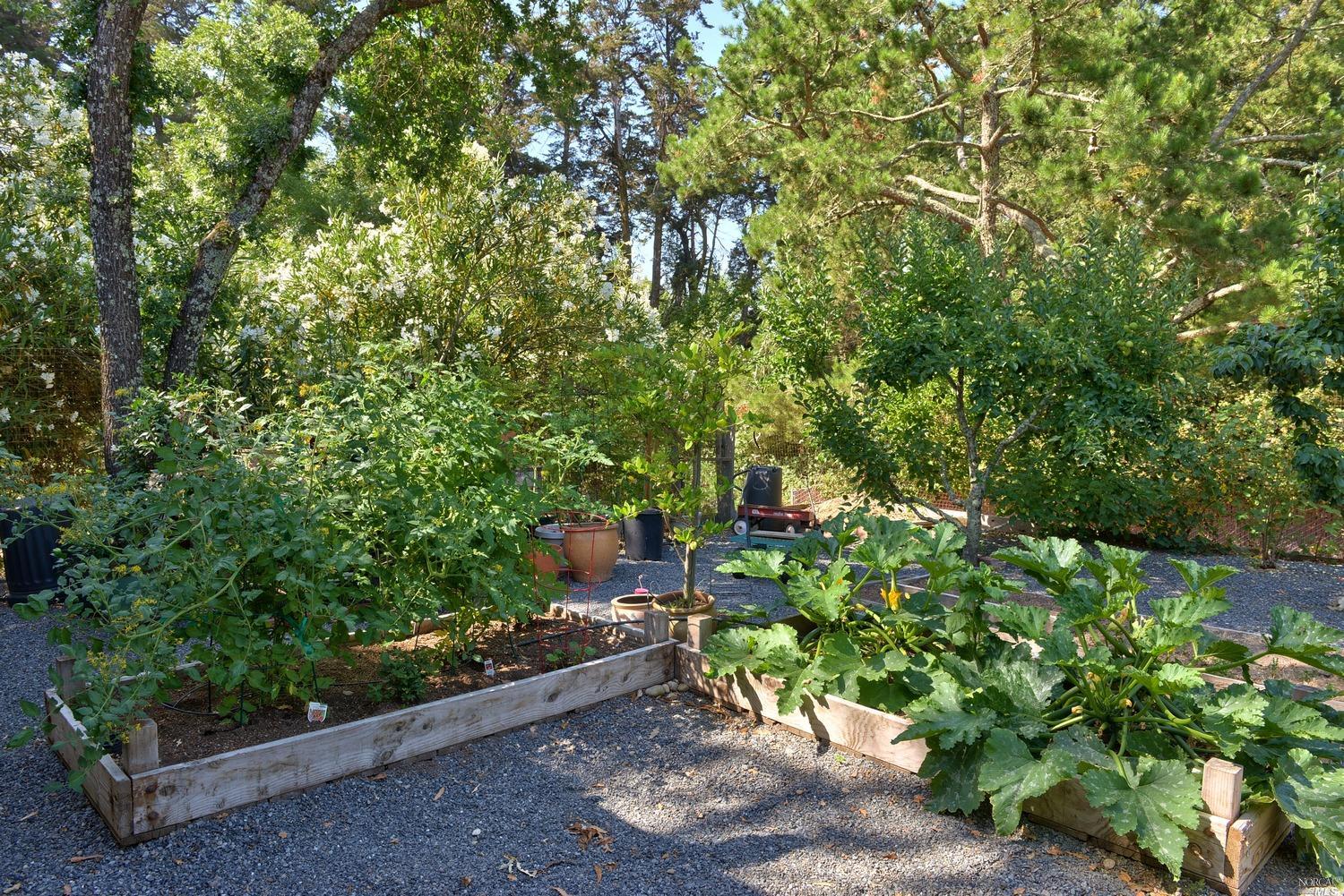 10300 Brooks Rd, Windsor, CA 95492 photo 20