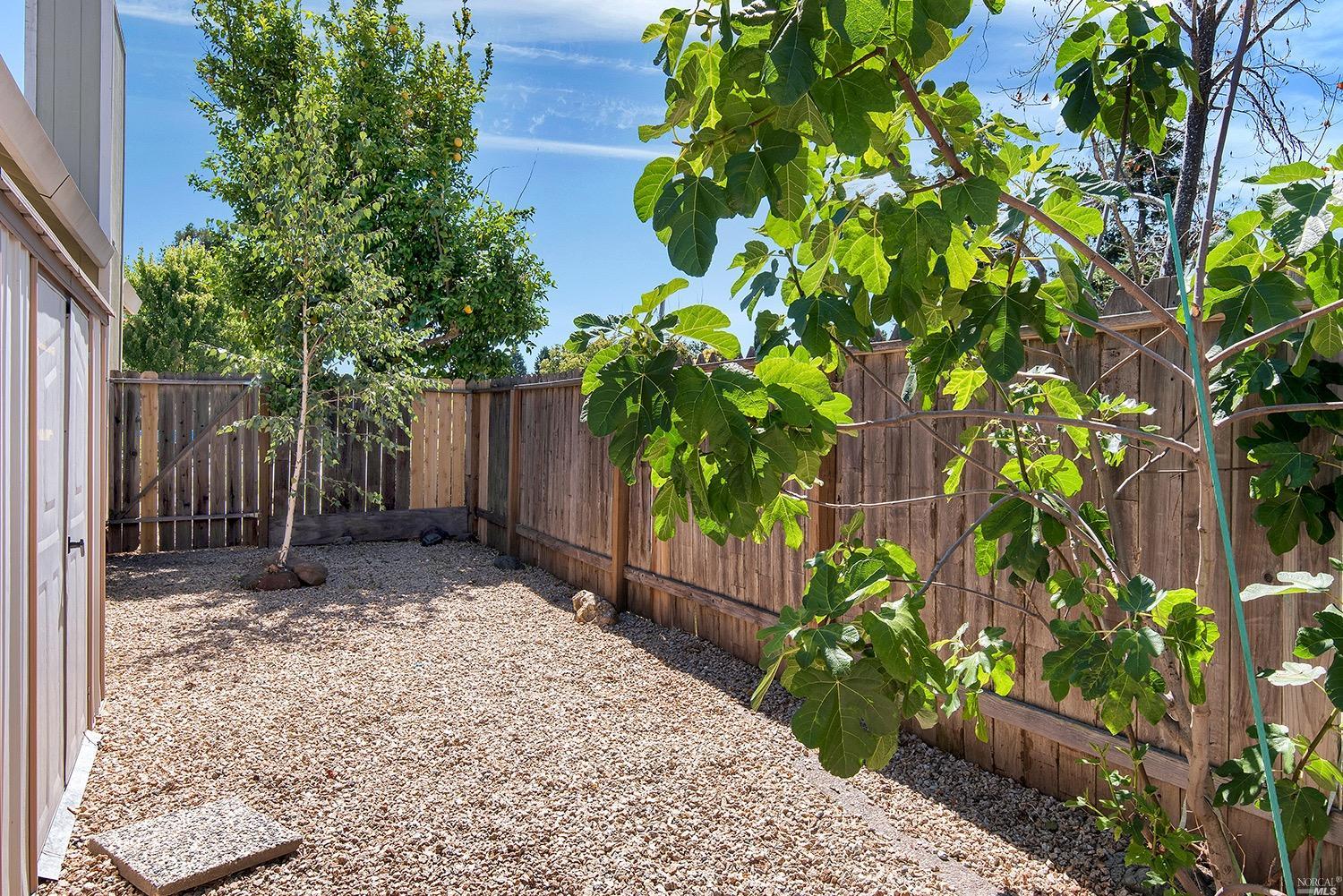 7801 Sparrow Ct, Windsor, CA 95492 photo 25