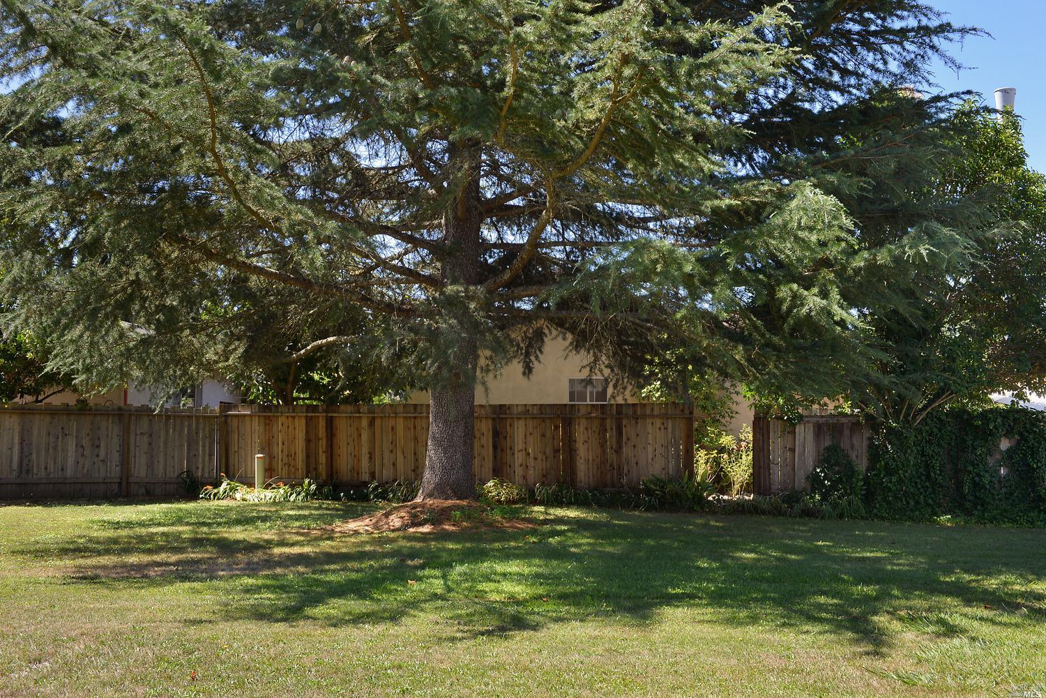 224 Sequoia Cir, Healdsburg, CA 95448 photo 23