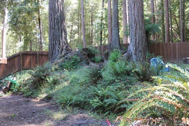 24130 Birch Pl, Willits, CA 95490 photo 11
