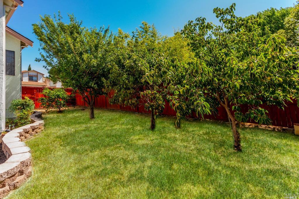 1025 Linden Ave, Fairfield, CA 94533 photo 47