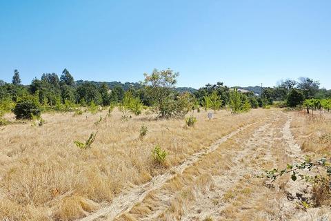 1295 Jensen Ln, Windsor, CA 95492 photo 29