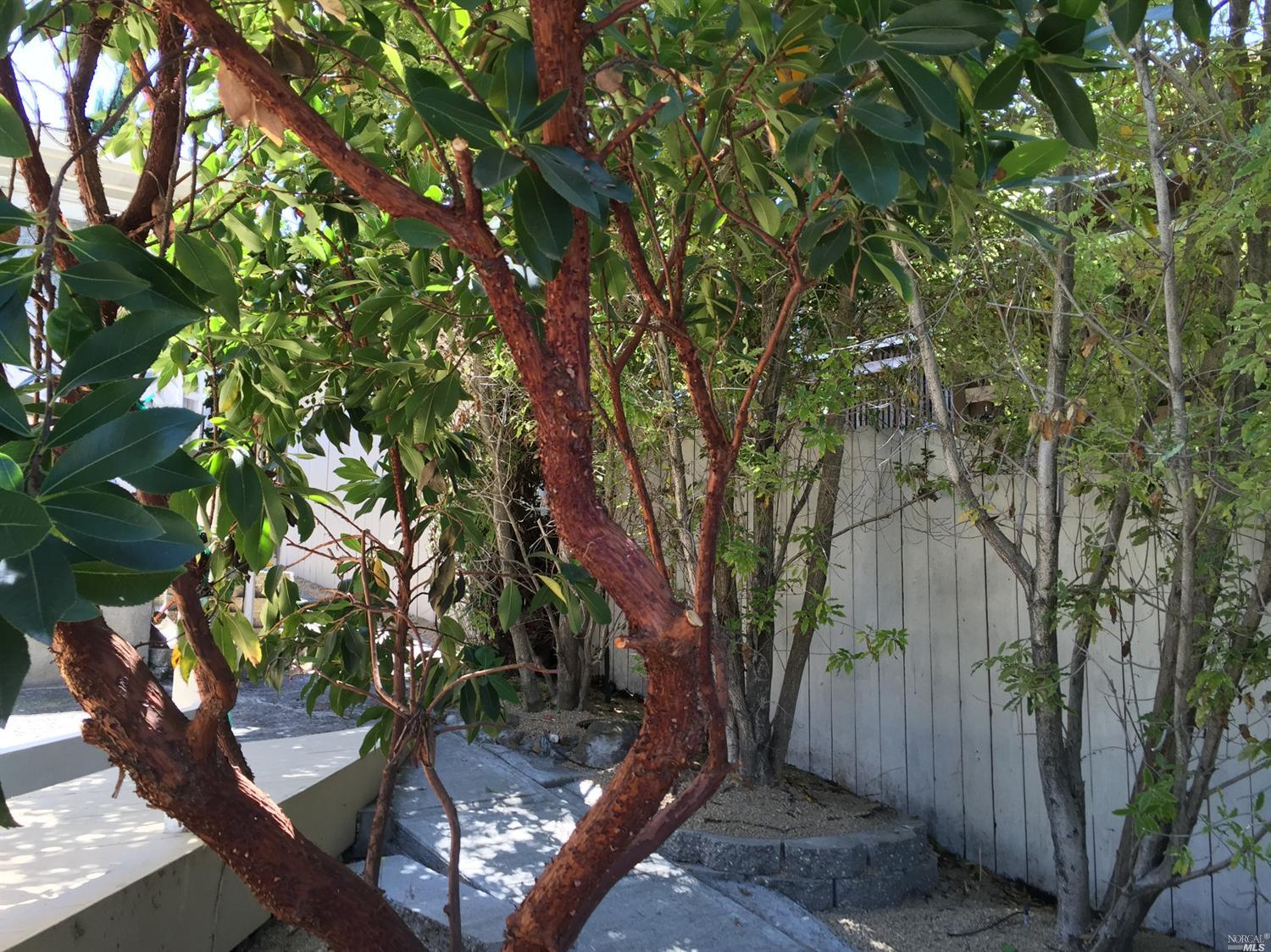 708 Jennings Ave, Vallejo, CA 94591 photo 27