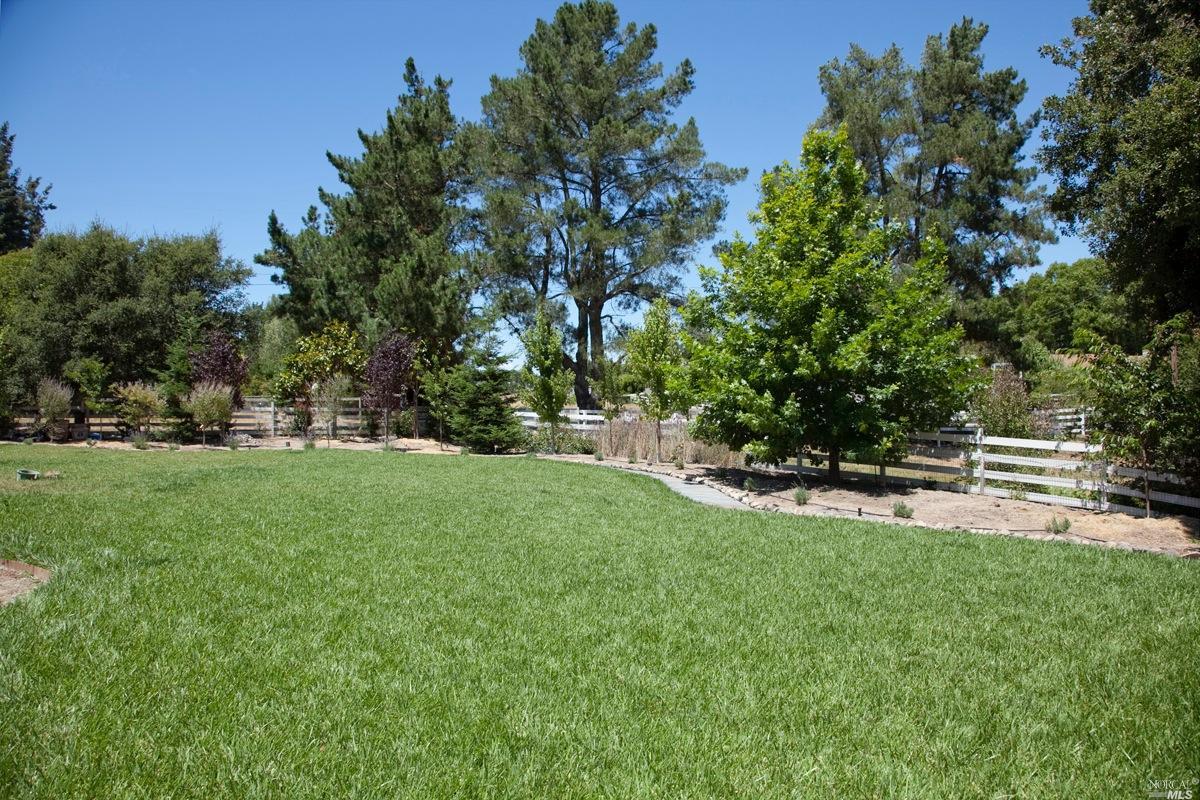 1121 Pine Tree Ln, Sebastopol, CA 95472 photo 14