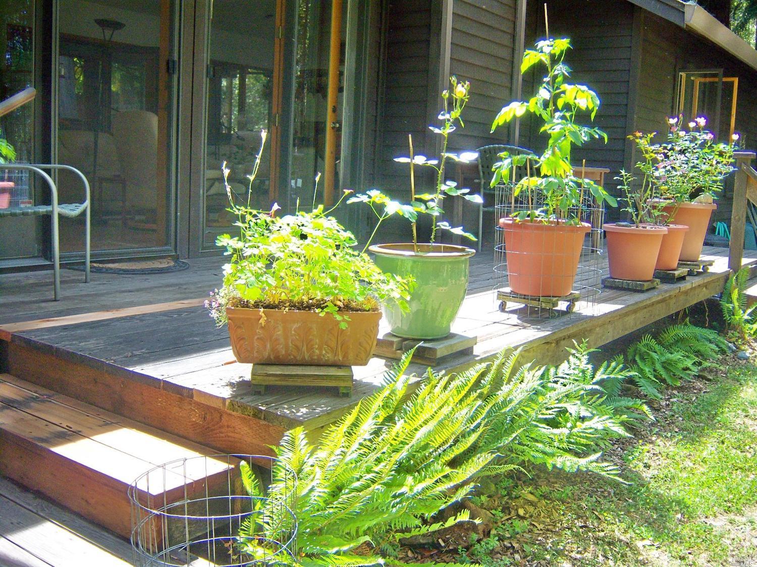 Undisclosed, Willits, CA 95490 photo 26