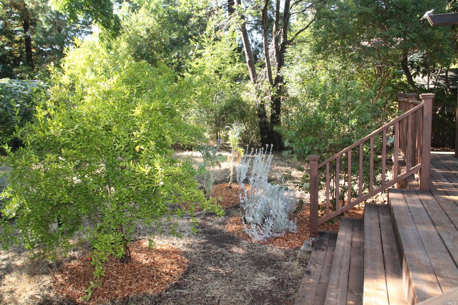 511 S Spring St, Ukiah, CA 95482 photo 36