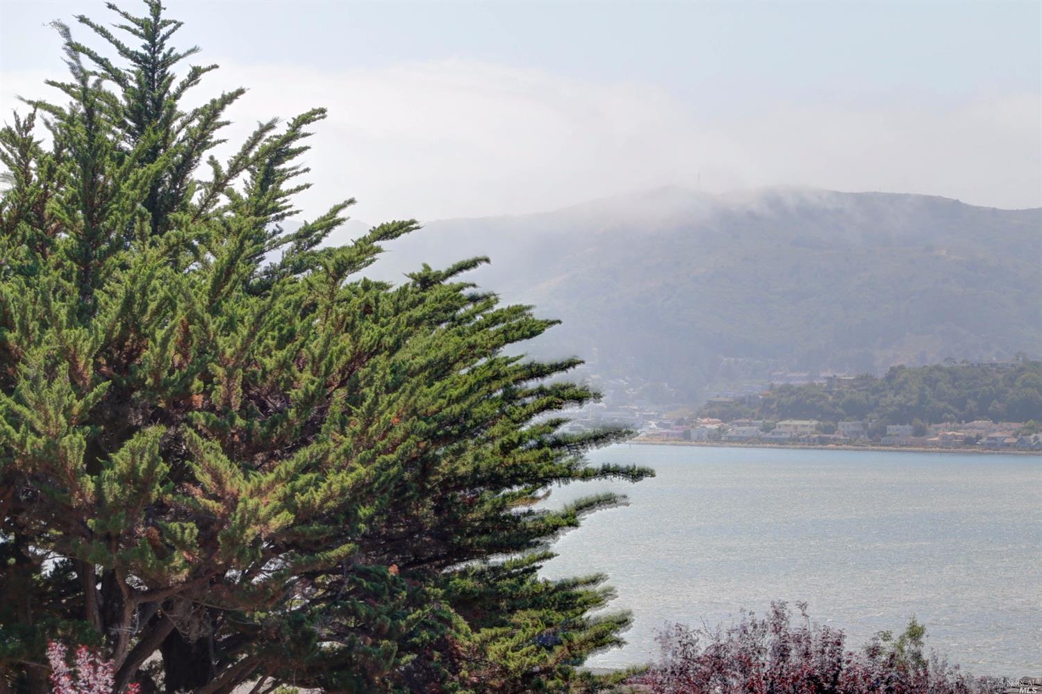 546 Silverado Dr, Tiburon, CA 94920 photo 22