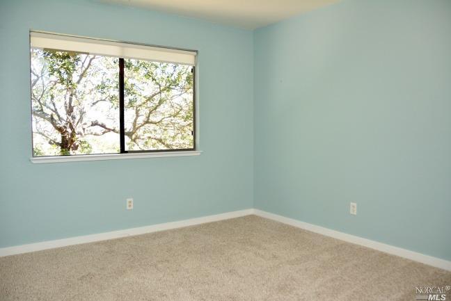346 Country Club Ln, Napa, CA 94558 photo 25