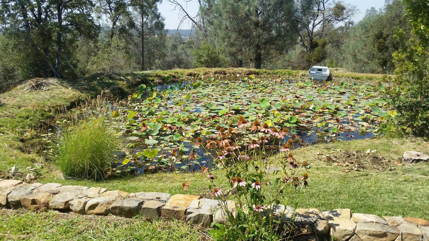 Undisclosed, Grass Valley, CA 95949 photo 19