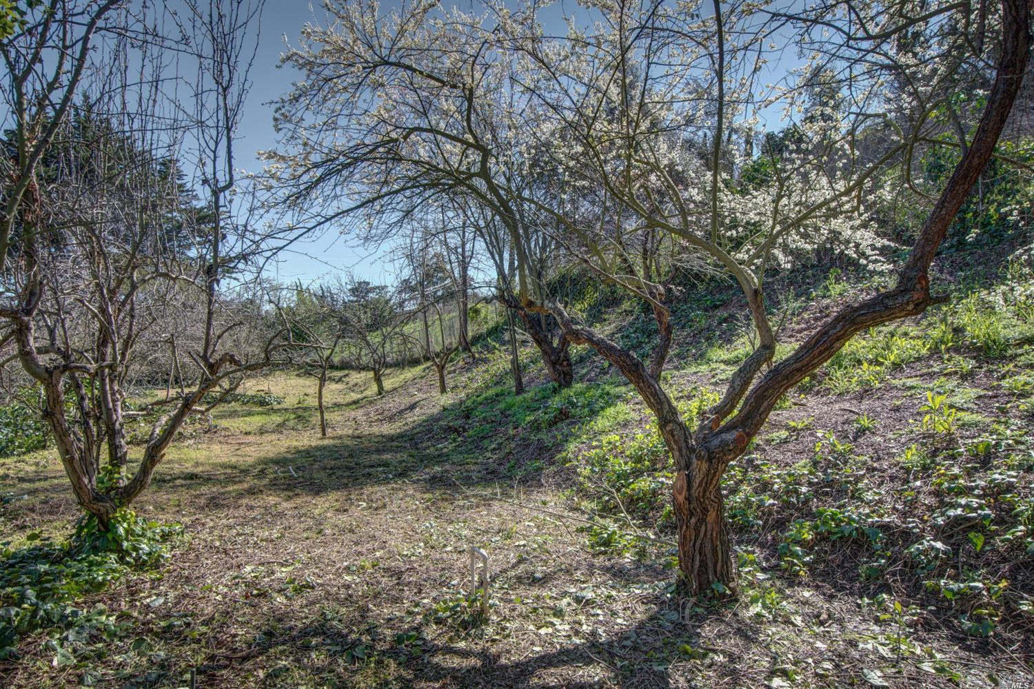 124 Greeves St, Vallejo, CA 94591 photo 10