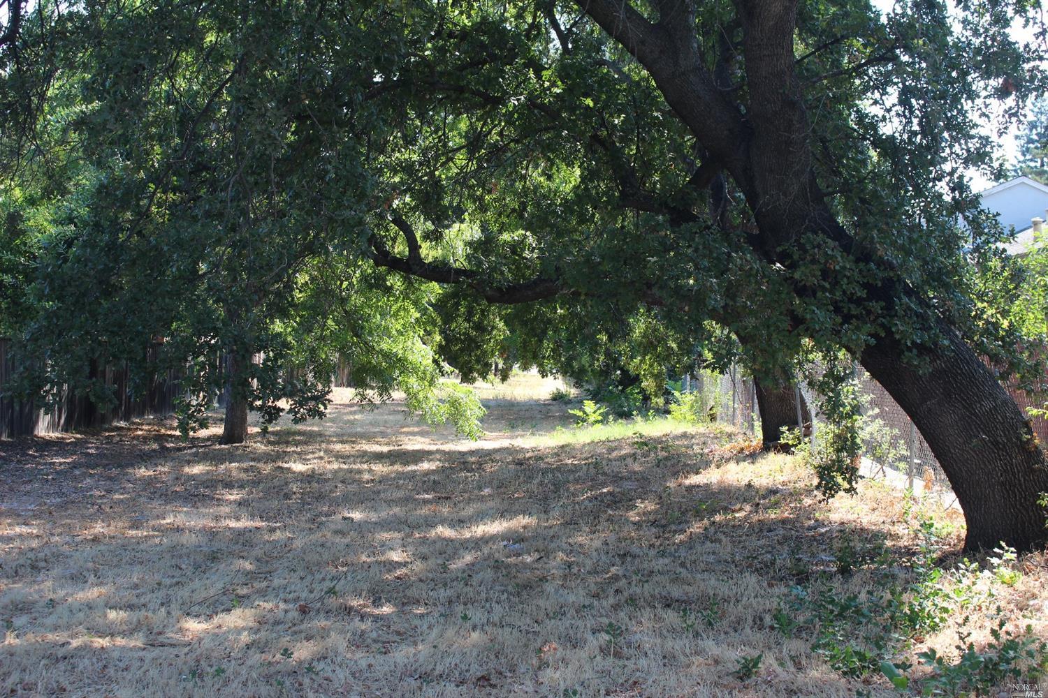 359 Eldridge Ave, Vacaville, CA 95688 photo 19