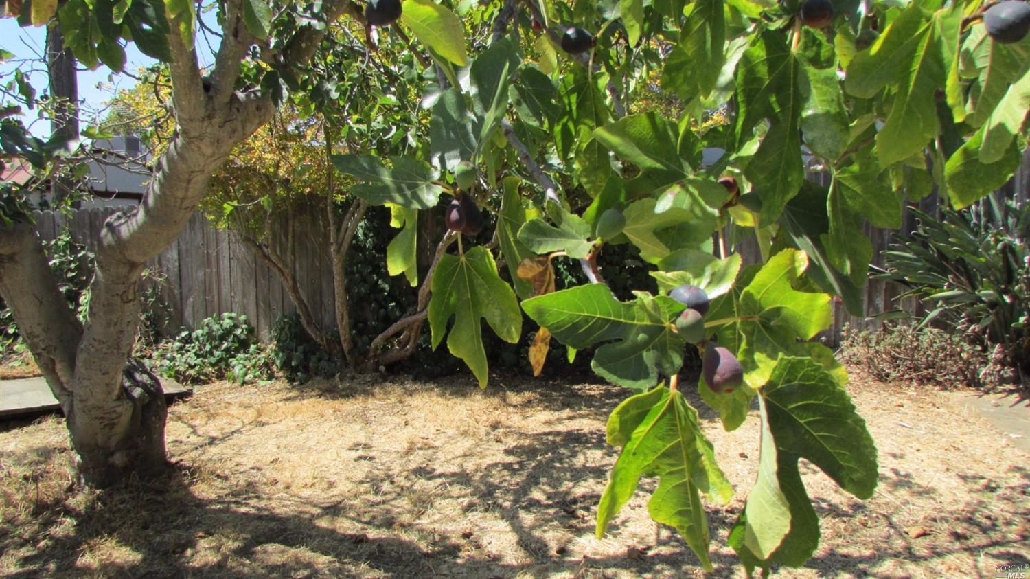 Undisclosed, Vallejo, CA 94591 photo 14