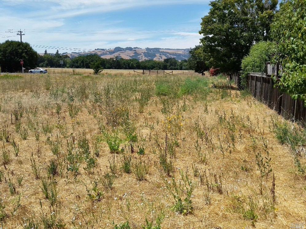 460 Harrington Dr, Sonoma, CA 95476 photo 2
