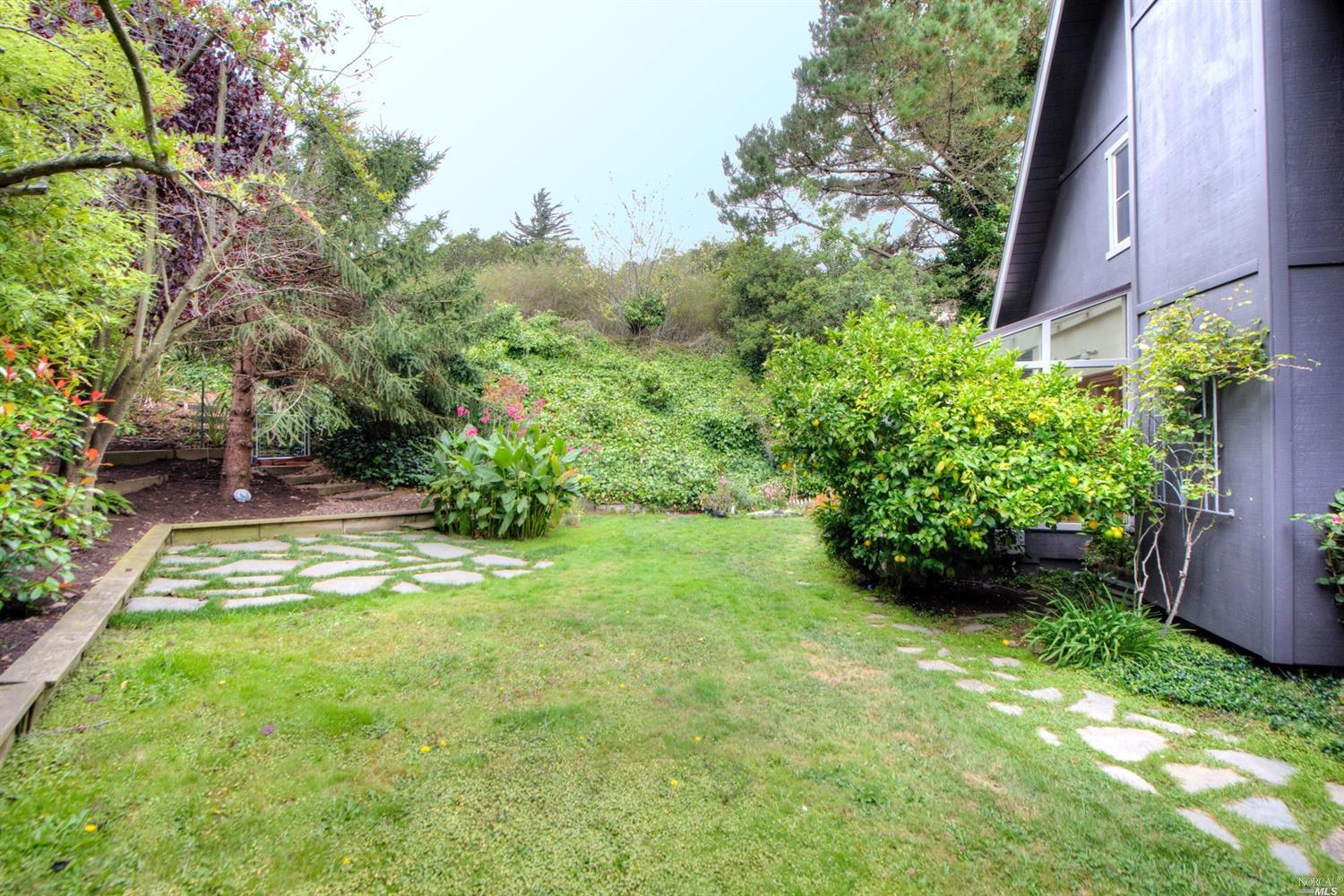 204 Buchanan Dr, Sausalito, CA 94965 photo 31