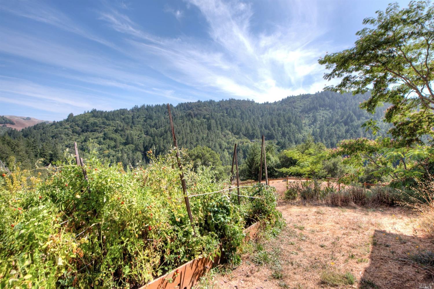 60 La Canada Rd, Nicasio, CA 94946 photo 50