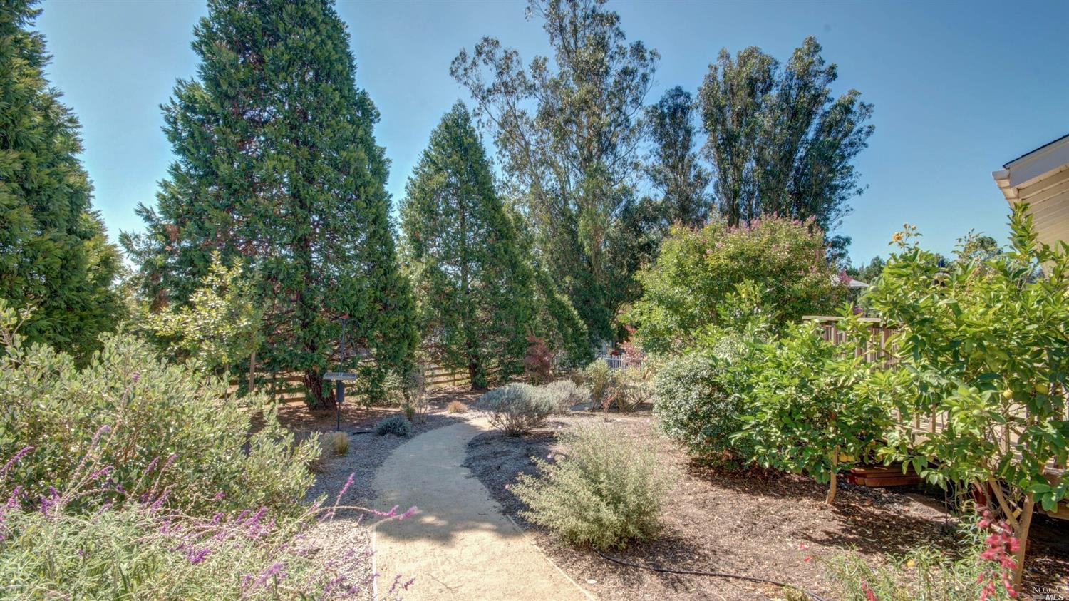 40 Everett Rd, Petaluma, CA 94952 photo 25