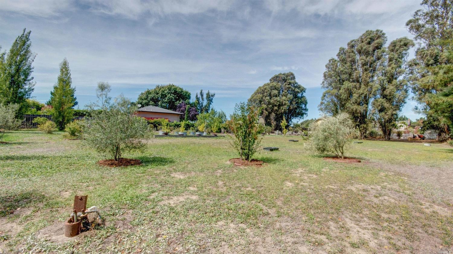 40 Everett Rd, Petaluma, CA 94952 photo 23