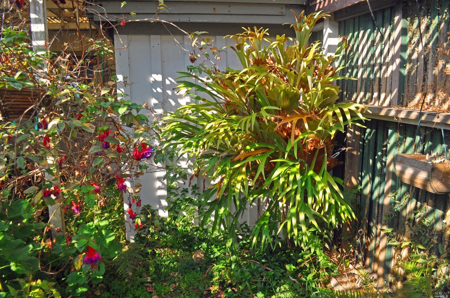 4860 N Highway 1, Bodega Bay, CA 94923 photo 25