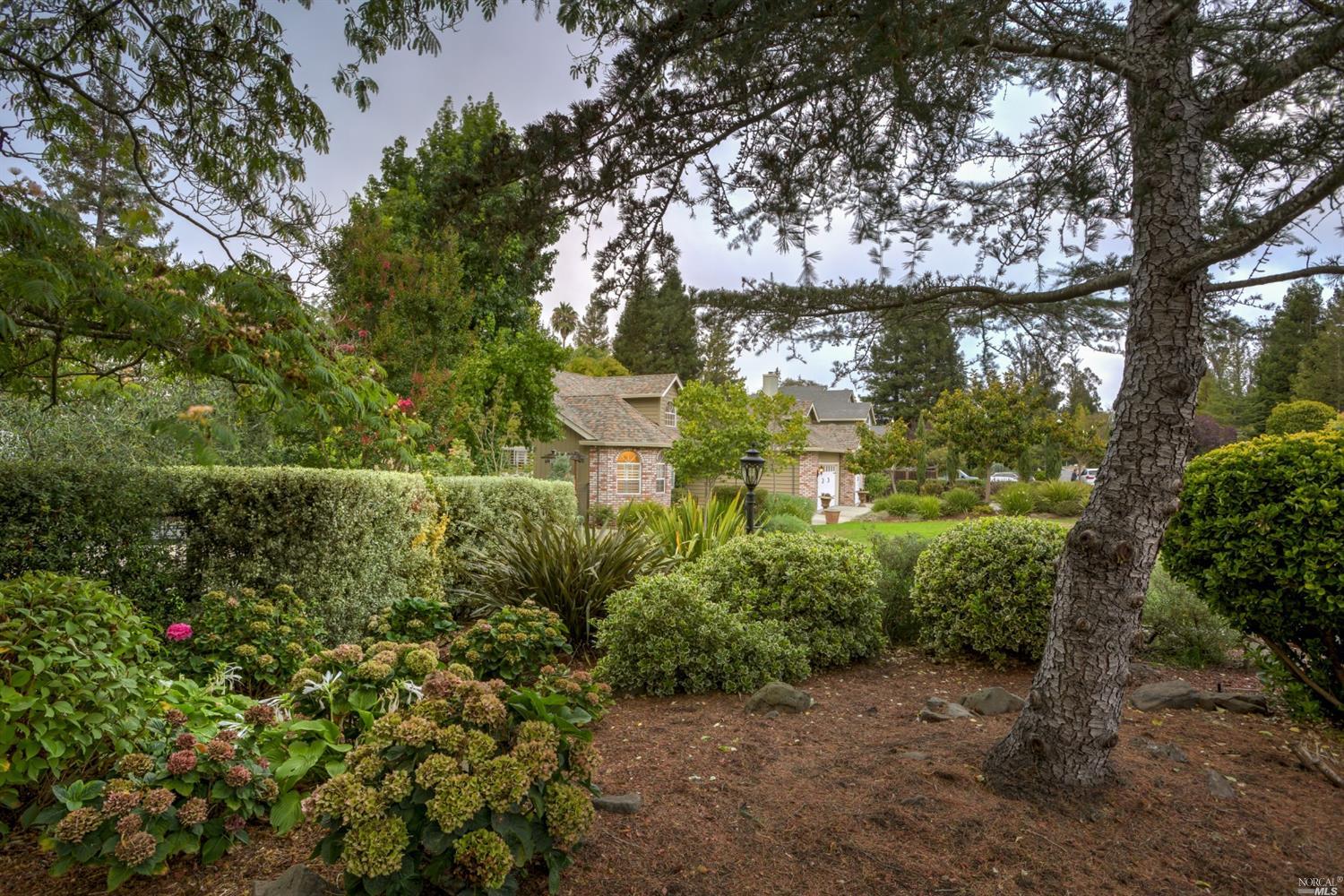 8842 Lund Hill Ln, Cotati, CA 94931 photo 5